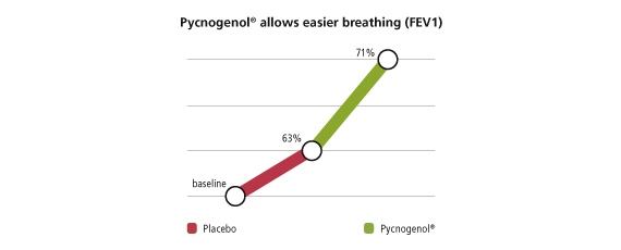 Pycnogenol and respiratory health